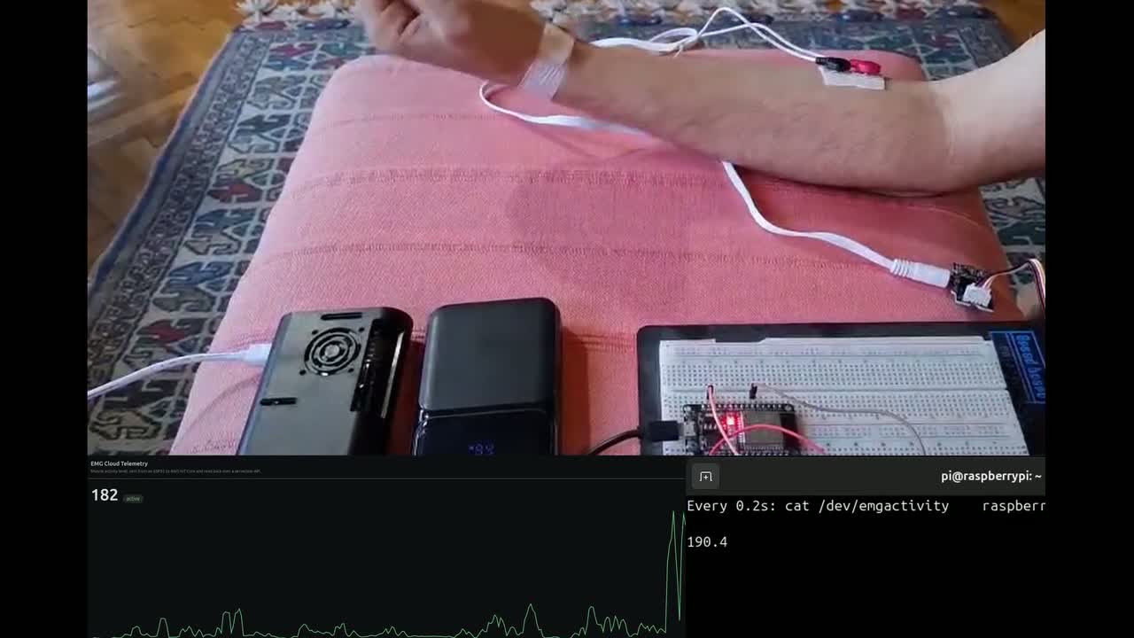 Forearm flex driving the live cloud dashboard and the kernel-driver readout in sync